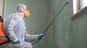 Mold Remediation for Rental Properties in Knightsen, CA